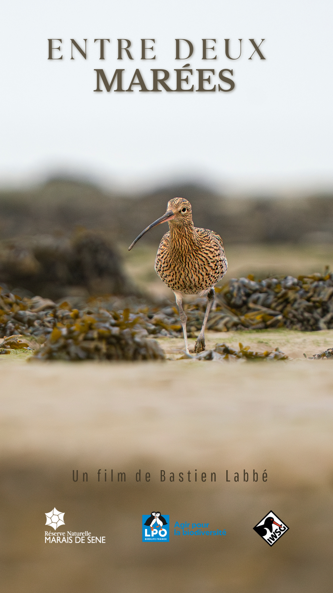 Affiche Entre deux marees Bastien Labbe 1080x1920